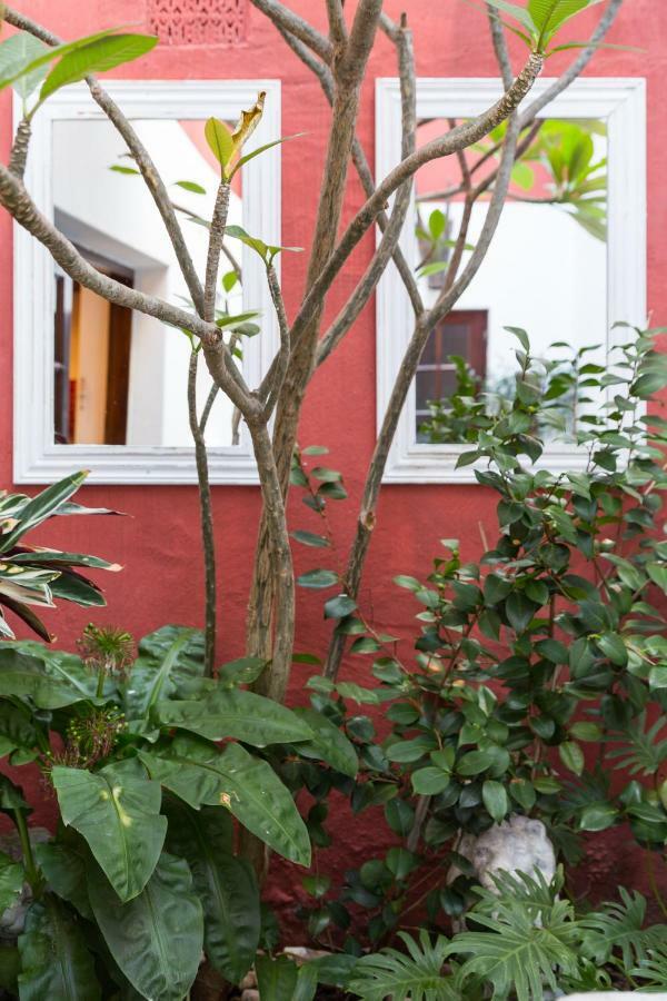 Central Cape Town, Stylish Home, With Private Courtyard Kültér fotó